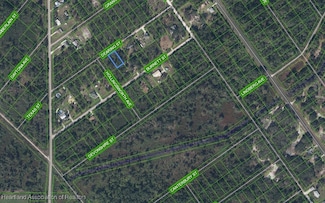 1015 Dearing St, Lake Placid, FL 33852