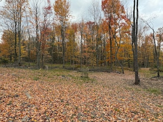 Tbd 1 Plank Rd Unit LotWP001, Waterford, PA 16441
