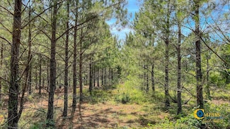 0 Moores Chapel Rd Unit 25510371, Mauk, GA 31058