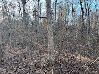0 Iroquois Dr Unit 10118809, Cherokee Village, AR 72529