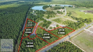 11 Boardwalk Ave, Jesup, GA 31545