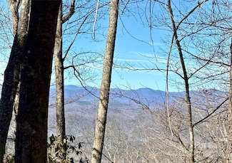 lot #13 Devil's Hole Rd Unit 13, Rosman, NC 28772