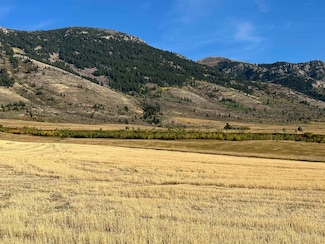 LOT 27 Eagle View Dr, Inkom, ID 83245