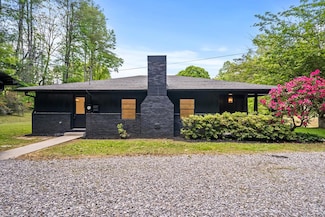 514 Ash Loop Rd, Blue Ridge, GA 30513