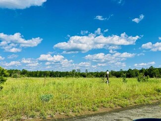 259 County Divide Rd, Bronson, TX 75930