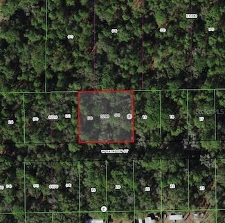 7615 W Rainbow St, Dunnellon, FL 34433