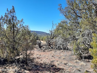 Lot 78 Circle Dr, Seligman, AZ 86337