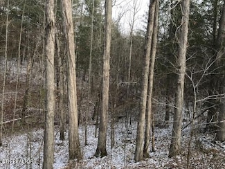 0 Rugby Hwy, Robbins, TN 37852