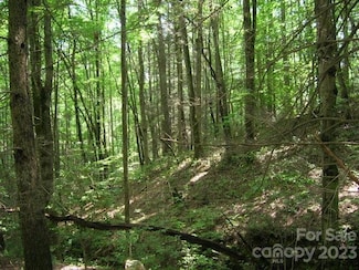 Lot 19 Sunkota Ridge Trail, Bryson City, NC 28713