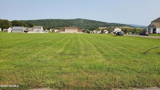 114 High Lot 55 St, Beavertown, PA 17813