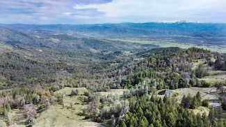 19800 Poonkinney Rd, Covelo, CA 95428