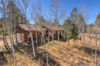 533 Burland Dr, Bailey, CO 80421