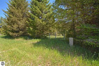 0 Nugent Rd Unit 1847931, Frankfort, MI 49635