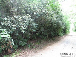 0 Henderson Blvd Pinnacle Mtn Rd Rd Unit NCM591610, Zirconia, NC 28790