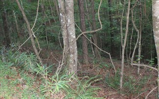 Lot 1111 Molly Cir, Ellijay, GA 30540