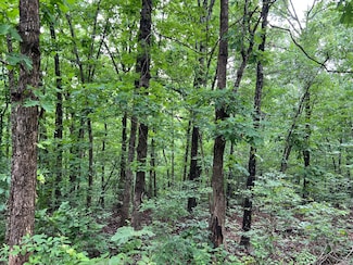 000 Highway 63, Mammoth Spring, AR 72554