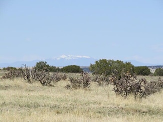 Unassigned County Rd 78, Tyrone, CO