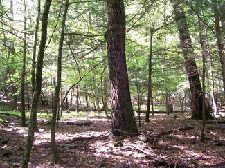 749 Oak Ridge Rd, Ellenville, NY 12428