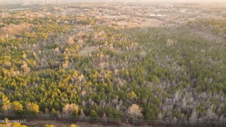 00 Mississippi 16, Canton, MS 39046