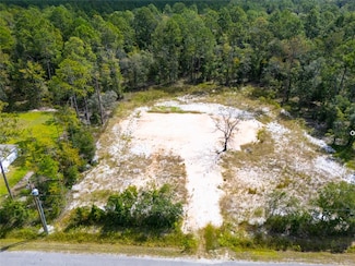 10340 Isaacson Ave, Hastings, FL 32145