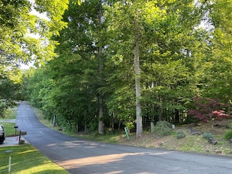 81A-82A Licklog Ridge, Hayesville, NC 28904