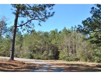 0 Ted Bruce Rd Unit 109717, 4a, LA 70657