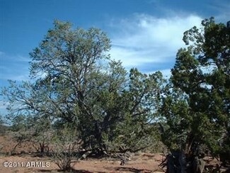 2727-SRR N Canyon View Trail Unit 56, Williams, AZ 86046