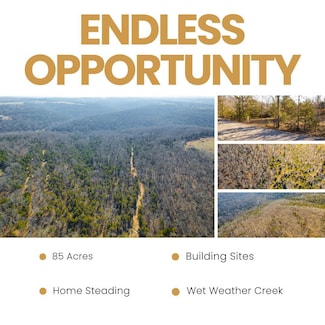 000 Burmingham Rd, Forsyth, MO 65653