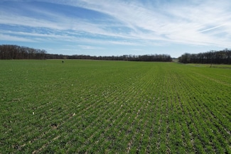 Off Pintail Rd Unit Lot WP002, Tamaroa, IL 62888