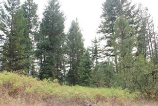 000 State Rd, Loon Lake, WA 99148