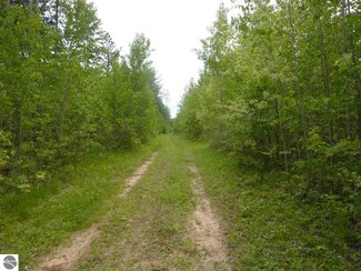 9400 W North County Line Rd, Lake, MI 48632