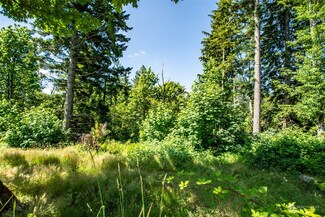 98 XX 351st Ave SE, Snoqualmie, WA 98065