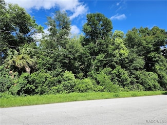 8841 N Golfview Dr, Citrus Springs, FL 34434