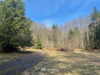 11800 766th Ave NE, Skykomish, WA 98288