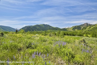 Tbd Stage Rd Unit Lot 6, Aspen, CO 81611