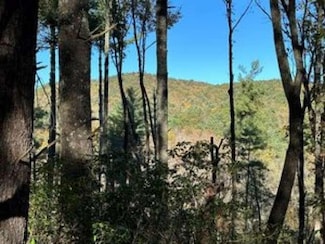 0 Chief Whitetails Rd Unit 414096, Ellijay, GA 30540