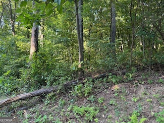 0 Trailwood Dr Unit 10370347, De Soto, GA 30536