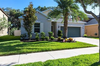 14271 Blue Dasher Dr, Riverview, FL 33569