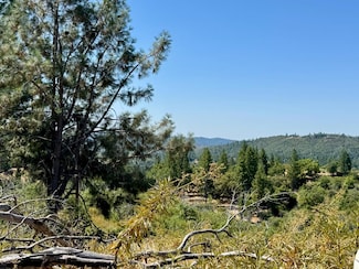 9055 Rodesino Rd, Mountain Ranch, CA 95246