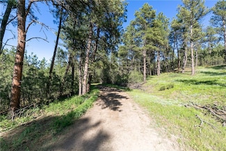 TBD W Parrot Creek Road Parcel 20, Roundup, MT 59072