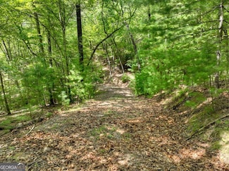 Lot 68 Riverwalk On the Toc Unit 68, Mineral Bluff, GA 30559