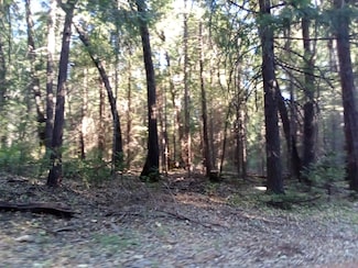 0 Just Rd Unit 225114267, Iowa Hill, CA 95713