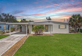 533 Firefly Ln, Apollo Beach, FL 33572