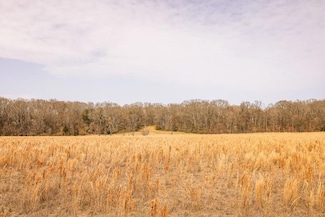 TBD Old Highway 80, Vicksburg, MS 39180