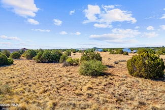 8487 Alpine Place, Show Low, AZ 85901