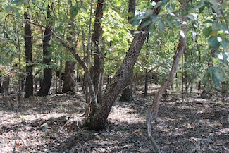 000 Lakeshore Rd Unit Lot 8, Protem, MO 65733