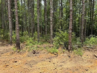 10 Burgetown Rd, Carriere, MS 39426