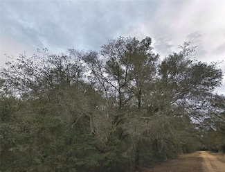 0 Donald Ave, Interlachen, FL 32148