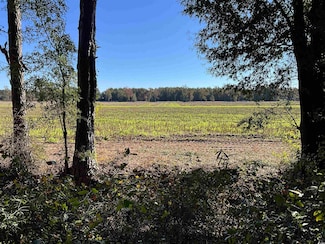 TBD Derrick Ct, Marion, SC 29571