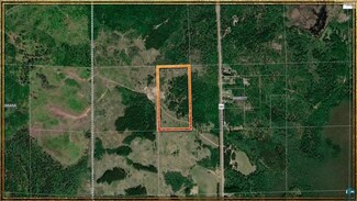 TBD Virginia Ely Rd, Babbitt, MN 55706